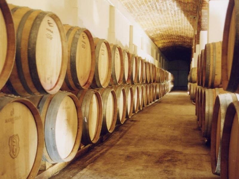 Three New Wineries Proving Mendoza is Still Innovative