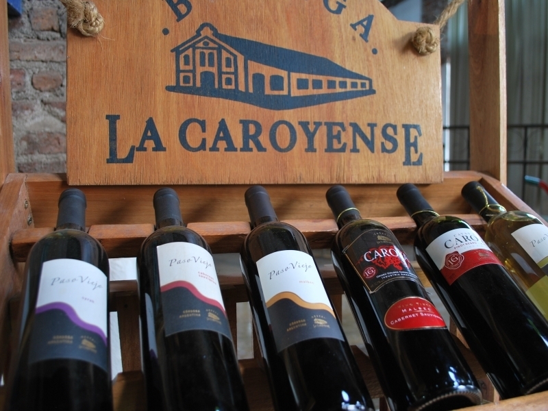 La Caroyense winery