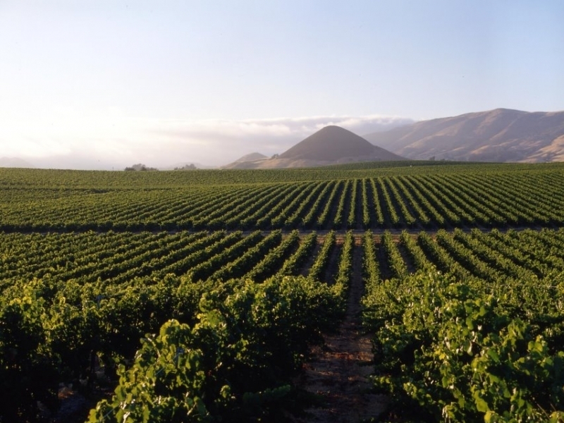 Argentina’s northern wine regions: Cafayate in Salta