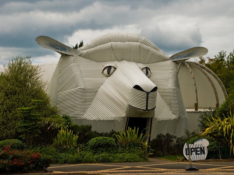Sheep And Dog Building, New Zealand