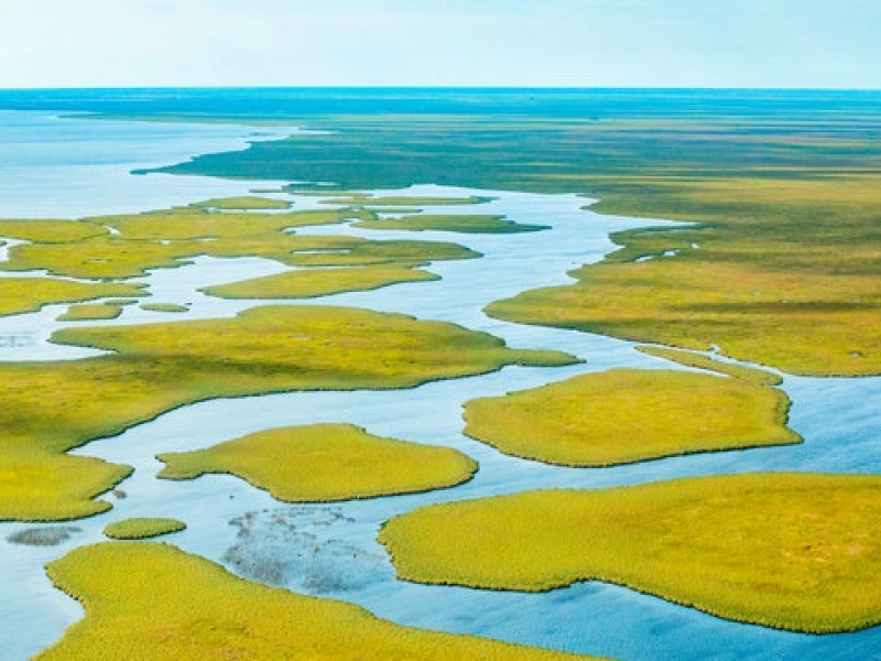 Esteros del Iberá Natural Reserve: A Paradise for Nature Lovers